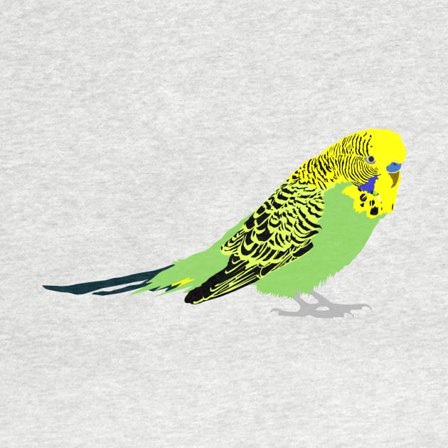 Budgie by stargatedalek